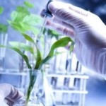 Biotecnología aplicada a las plantas