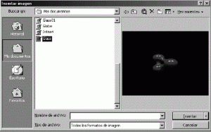 Insertar imagen en el cuadro