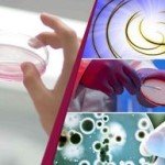Aplicaciones de la biotecnología