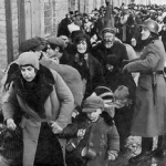 Derechos fundamentales de los migrantes