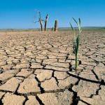 Introducción a la desertización